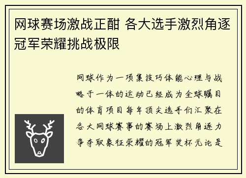 网球赛场激战正酣 各大选手激烈角逐冠军荣耀挑战极限
