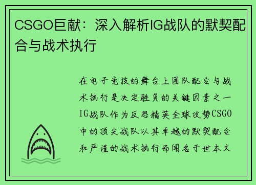 CSGO巨献：深入解析IG战队的默契配合与战术执行